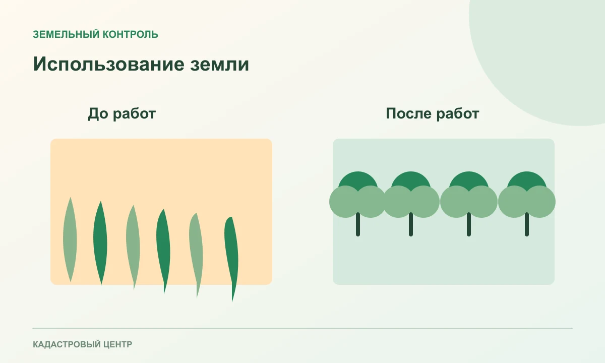 Заросший участок рядом с ухоженным садом и календарём
